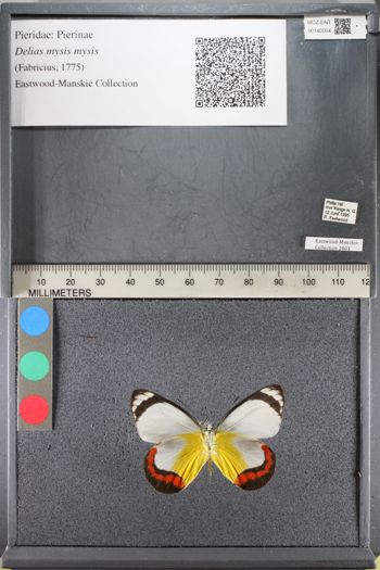 Media type: image;   Entomology 140004